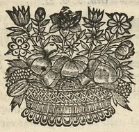 An illustration from Le cabinet secret des grands preservatifs & specifiques propres, contre la peste, fievres pestilentielles, pourpres, petites verolles, & toutefortes de maladies contagieuses... (1666)