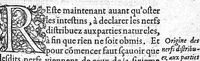 An illustration from Anatomie universelle du Corps humain, composee par A. Paré, Chirurgien ordinaire du Roy et Juré à Paris : reveue et augmentee par ledit autheur, avec I. Rostaing du Bignosc Provençal, aussi Chirurgien Juré à Paris (1561)