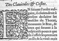 An illustration from Anatomie universelle du Corps humain, composee par A. Paré, Chirurgien ordinaire du Roy et Juré à Paris : reveue et augmentee par ledit autheur, avec I. Rostaing du Bignosc Provençal, aussi Chirurgien Juré à Paris (1561)