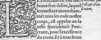 An illustration from Anatomie universelle du Corps humain, composee par A. Paré, Chirurgien ordinaire du Roy et Juré à Paris : reveue et augmentee par ledit autheur, avec I. Rostaing du Bignosc Provençal, aussi Chirurgien Juré à Paris (1561)