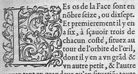 An illustration from Anatomie universelle du Corps humain, composee par A. Paré, Chirurgien ordinaire du Roy et Juré à Paris : reveue et augmentee par ledit autheur, avec I. Rostaing du Bignosc Provençal, aussi Chirurgien Juré à Paris (1561)