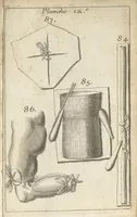 Picture 14 of 14 from Traité complet des operations de chirurgie : contenant leurs definitions, leurs causes expliquées sur la structure de la partie, les signes des maladies qui nous obligent de faire l'operation... (1698), leaf 904