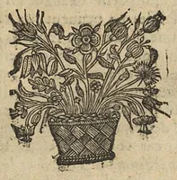 An illustration from Commentaire sur la carie, et corruption des os... (1656)