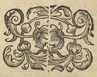 An illustration from Commentaire sur la carie, et corruption des os... (1656)