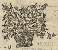 An illustration from Commentaire sur la carie, et corruption des os... (1656)