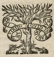 An illustration from La chirurgie de Felix Wurtzius,...nouvellement reveuë & corrigée, selon les propres manusccrits de l'autheur...trad. de l'allemand en françois par François Savvin... (1672)