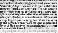 An illustration from La grande chirurgie de M. Gui de Chauliac, Medecin tres-fameux de l’Université de Monpelier, composee l’an de grace M.CCC.LXIII. Restituee nouvellement a sa dignité, par M. Laurens Joubert, Medecin ordinaire du Roy, et du Roy de Navarre, premier Docteur regent stipendié, Chancelier et Juge de ladicte Université. Voyez au prochain feuillet, ce que M. Joubert ha faict (outre sa nouvelle traduction) et fourny du sien, en recognoissant cest’ œuvre, (1579)