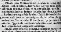 Picture 7 of 7 from La grande chirurgie de M. Gui de Chauliac, Medecin tres-fameux de l’Université de Monpelier, composee l’an de grace M.CCC.LXIII. Restituee nouvellement a sa dignité, par M. Laurens Joubert, Medecin ordinaire du Roy, et du Roy de Navarre, premier Docteur regent stipendié, Chancelier et Juge de ladicte Université. Voyez au prochain feuillet, ce que M. Joubert ha faict (outre sa nouvelle traduction) et fourny du sien, en recognoissant cest’ œuvre, (1579), leaf 905