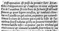 An illustration from Chirurgie françoise, recueillie par M. Jaques Dalechamps, Docteur Medicin, et Lecteur ordinaire de ceste profession à Lyon. Avec plusieurs figures des instrumens necessaires pour l’operation manuelle. La page 14. contient les principaux chefz de ce qui se discourt en cest œuvre, (1569)