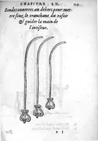Picture 8 of 31 from Chirurgie françoise, recueillie par M. Jaques Dalechamps, Docteur Medicin, et Lecteur ordinaire de ceste profession à Lyon. Avec plusieurs figures des instrumens necessaires pour l’operation manuelle. La page 14. contient les principaux chefz de ce qui se discourt en cest œuvre, (1569), leaf 380