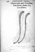 Picture 9 of 31 from Chirurgie françoise, recueillie par M. Jaques Dalechamps, Docteur Medicin, et Lecteur ordinaire de ceste profession à Lyon. Avec plusieurs figures des instrumens necessaires pour l’operation manuelle. La page 14. contient les principaux chefz de ce qui se discourt en cest œuvre, (1569), leaf 387