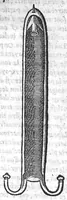 Picture 22 of 31 from Chirurgie françoise, recueillie par M. Jaques Dalechamps, Docteur Medicin, et Lecteur ordinaire de ceste profession à Lyon. Avec plusieurs figures des instrumens necessaires pour l’operation manuelle. La page 14. contient les principaux chefz de ce qui se discourt en cest œuvre, (1569), leaf 650