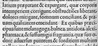 An illustration from Microcosmus Hypochondriacus sive de Melancholia Hypochondriaca Tractatus, etc. (1652)