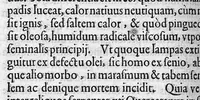 An illustration from Microcosmus Hypochondriacus sive de Melancholia Hypochondriaca Tractatus, etc. (1652)