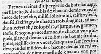 An illustration from Recueil de plusieurs secretz tres utiles, tant pour l’ornement que la santé corps humain, tirez des plus excellens auteurs, tant grecz que latins. Auquel avons adiousté un traicté des destillations... Nouvellement traduict d'Italien en François par S. E. S .X. (1561)
