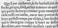 An illustration from Dix livres de la chirurgie avec le Magasin des Instrumens necessaires à icelle. Par Ambroise Paré, premier Chirurgien du Roy et juré à Paris (1564)