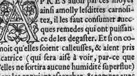 An illustration from Dix livres de la chirurgie avec le Magasin des Instrumens necessaires à icelle. Par Ambroise Paré, premier Chirurgien du Roy et juré à Paris (1564)