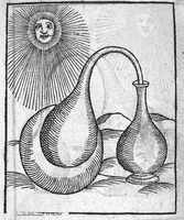 An illustration from Dix livres de la chirurgie avec le Magasin des Instrumens necessaires à icelle. Par Ambroise Paré, premier Chirurgien du Roy et juré à Paris (1564)