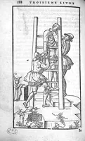 An illustration from Cinq livres de chirurgie. I. Des bandages 2. Des fractures. 3. Des luxations, avec une Apologie touchant les harquebousades. 4. Des morsures et piqueures venimeuses. 5. Des gouttes. Par Ambroise Paré, premier Chirurgien du Roy et juré à Paris, (1572)
