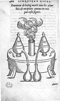 Picture 13 of 16 from Cinq livres de chirurgie. I. Des bandages 2. Des fractures. 3. Des luxations, avec une Apologie touchant les harquebousades. 4. Des morsures et piqueures venimeuses. 5. Des gouttes. Par Ambroise Paré, premier Chirurgien du Roy et juré à Paris, (1572), leaf 483