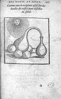 Picture 15 of 16 from Cinq livres de chirurgie. I. Des bandages 2. Des fractures. 3. Des luxations, avec une Apologie touchant les harquebousades. 4. Des morsures et piqueures venimeuses. 5. Des gouttes. Par Ambroise Paré, premier Chirurgien du Roy et juré à Paris, (1572), leaf 488