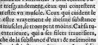 An illustration from Administrations anatomiques de Claude Galien. Traduictes fidelement de Grec en François, par M. Jaques Dalechamps, docteur en Medicine, et lecteur ordinaire de Chirurgie à Lyon. Corrigees en infinis passages avec extreme diligence du traducteur, (1572)
