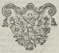 An illustration from Le chemin frayé et infaillible aux accouchemens, qui servira de flambeau aux sages-femmes, pour les éclairer en leurs operations, cachées dans les plus obscures cavernes de la matrice. Le tout enrichi de diverses figures... (1689)