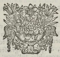 An illustration from Le chemin frayé et infaillible aux accouchemens, qui servira de flambeau aux sages-femmes, pour les éclairer en leurs operations, cachées dans les plus obscures cavernes de la matrice. Le tout enrichi de diverses figures... (1689)