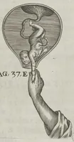 Picture 10 of 25 from Le chemin frayé et infaillible aux accouchemens, qui servira de flambeau aux sages-femmes, pour les éclairer en leurs operations, cachées dans les plus obscures cavernes de la matrice. Le tout enrichi de diverses figures... (1689), leaf 61