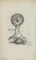An illustration from Le chemin frayé et infaillible aux accouchemens, qui servira de flambeau aux sages-femmes, pour les éclairer en leurs operations, cachées dans les plus obscures cavernes de la matrice. Le tout enrichi de diverses figures... (1689)