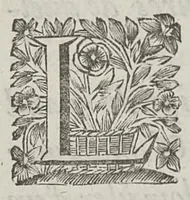 An illustration from Le chemin frayé et infaillible aux accouchemens, qui servira de flambeau aux sages-femmes, pour les éclairer en leurs operations, cachées dans les plus obscures cavernes de la matrice. Le tout enrichi de diverses figures... (1689)