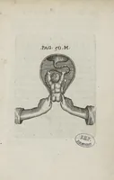 An illustration from Le chemin frayé et infaillible aux accouchemens, qui servira de flambeau aux sages-femmes, pour les éclairer en leurs operations, cachées dans les plus obscures cavernes de la matrice. Le tout enrichi de diverses figures... (1689)