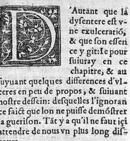 An illustration from Traicté de la dysenterie, et cure d’icelle, divisé en deux parties : l’une contenant la maladie, Causes, et Symptomes d’icelle : l’autre la Curation. Composé par Guillaume Souviros, Docteur en la faculté de Medecine de Montpellier, et Medecin en Tolose, (1574)