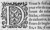 An illustration from Traicté de la dysenterie, et cure d’icelle, divisé en deux parties : l’une contenant la maladie, Causes, et Symptomes d’icelle : l’autre la Curation. Composé par Guillaume Souviros, Docteur en la faculté de Medecine de Montpellier, et Medecin en Tolose, (1574)