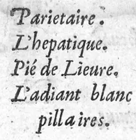 An illustration from Traicté de la dysenterie, et cure d’icelle, divisé en deux parties : l’une contenant la maladie, Causes, et Symptomes d’icelle : l’autre la Curation. Composé par Guillaume Souviros, Docteur en la faculté de Medecine de Montpellier, et Medecin en Tolose, (1574)