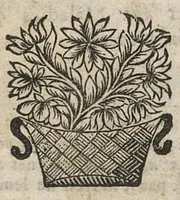 An illustration from Le medecin charitable abbregé pour guerir toutes sortes de maladies avec peu de remedes...seconde edition (1668)