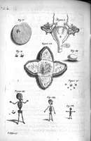 An illustration from Mémoires concernant les arts et les sciences présentés à Monseigneur le Dauphin (1672)
