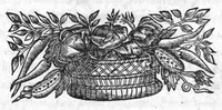 An illustration from De nova curandorum morborum ratione per transfusionem sanguinis, dissertatio, ad amicum (1667)
