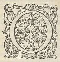 An illustration from Theophilou peri tes tou anthropou kataskeues. Theophili de hominis fabrica, lib. V. Ex Bibliotheca Regia (1555)