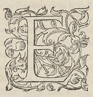 An illustration from Theophilou peri tes tou anthropou kataskeues. Theophili de hominis fabrica, lib. V. Ex Bibliotheca Regia (1555)