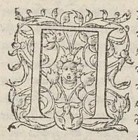 An illustration from Theophilou peri tes tou anthropou kataskeues. Theophili de hominis fabrica, lib. V. Ex Bibliotheca Regia (1555)