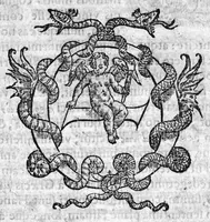 An illustration from Theophili Protospatarii de Corporis humani fabrica, Libri V, Iunio Paulo Crasso Patavino interprete. Ex Sorano de Vulva et pudendo muliebri, Ioan. Baptista Rasario interprete (1556)