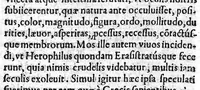 An illustration from Theophili Protospatarii de Corporis humani fabrica, Libri V, Iunio Paulo Crasso Patavino interprete. Ex Sorano de Vulva et pudendo muliebri, Ioan. Baptista Rasario interprete (1556)