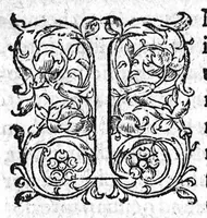 An illustration from Theophili Protospatarii de Corporis humani fabrica, Libri V, Iunio Paulo Crasso Patavino interprete. Ex Sorano de Vulva et pudendo muliebri, Ioan. Baptista Rasario interprete (1556)