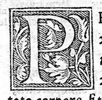 An illustration from [Opusculum recens natum de morbis puerorum...] (1538)