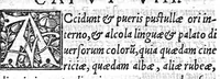 An illustration from [Opusculum recens natum de morbis puerorum...] (1538)
