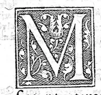 An illustration from [Opusculum recens natum de morbis puerorum...] (1538)