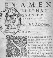 An illustration from Examen des elephantiques ou lepreux, recueilly de plusieurs bons et renommez Autheurs, Grecs, Latins, Arabes et François, par G. des Innocens, Chirurgien, natif et habitant de Tolose (1595)