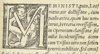 An illustration from Epistolae medicinales in quibus multa recentiorum errata, & antiquorum decreta referantur (1528)
