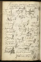 An illustration from Commentaires de la Faculté de médecine de Paris. Années 1532-1544 (1532)